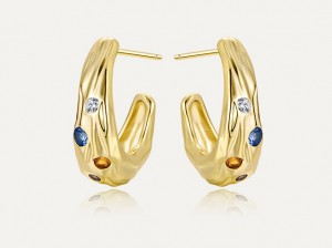 Chunky Hoop Earrings-Gold Plated